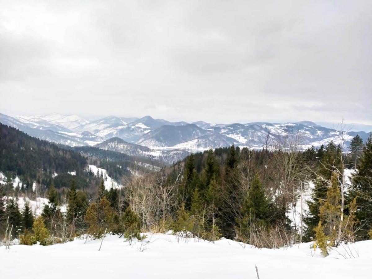 Villa Planinska Koliba Exclusive Sekulic Esterno foto